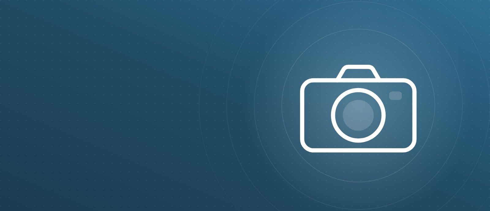 cameras