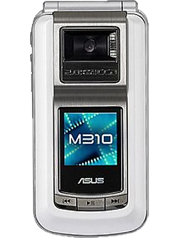 Asus M310
