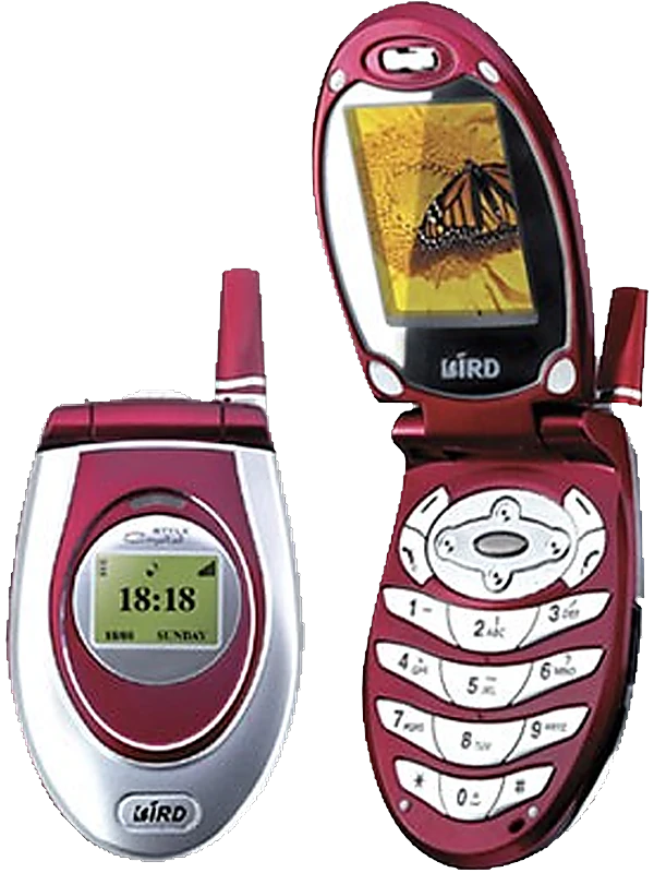 Bird SC24