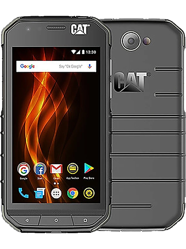 Cat S31