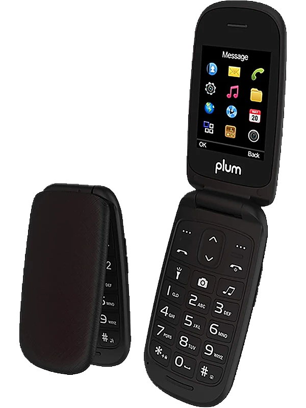 Plum Flipper 2
