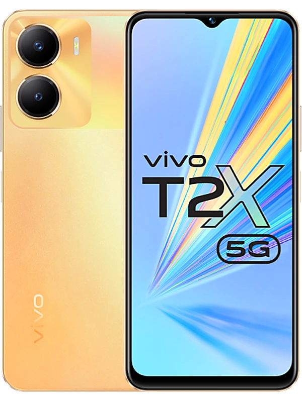 vivo T2x